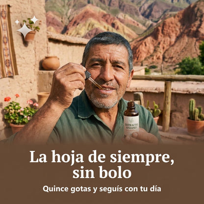 Extracto Andino — banda