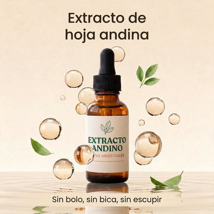 Extracto Andino — leaves