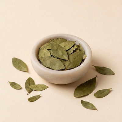 Hoja de las Yungas